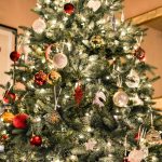 5 Ways to give your Christmas Tree new life after Christmas