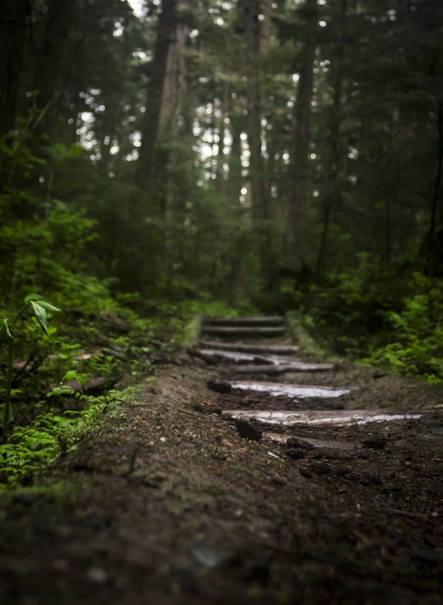 Braille Trail with sensory garden opens at Fowler Park in Forsyth County