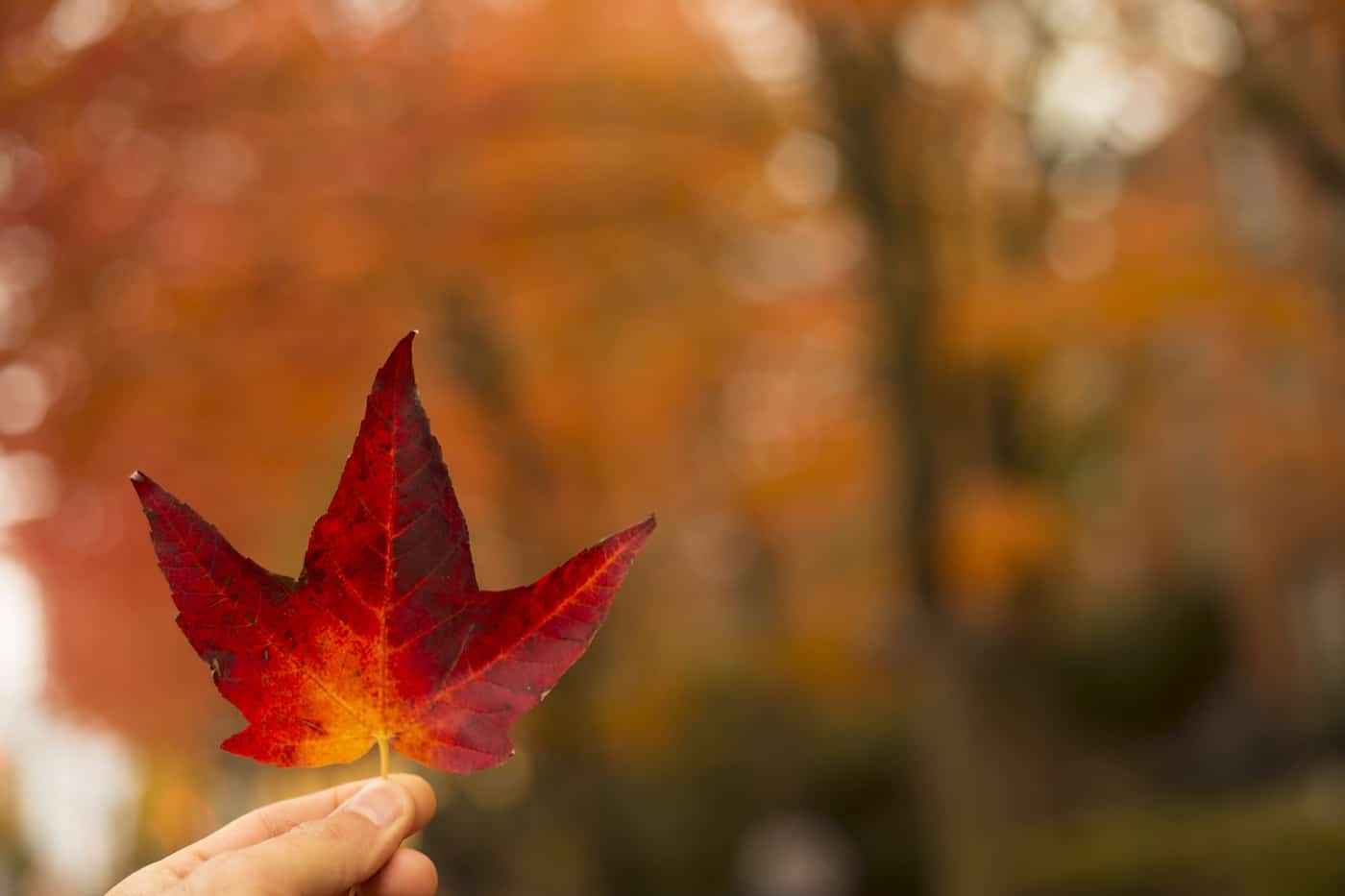 According to the US Department of Energy, the typical US family spends at least $2,200 per year on energy bills—with nearly half of that paying for heating and cooling. To help you lower your utility bills this fall and winter, here are 10 tips from Rebecca Gramuglia, Personal Finance Expert at TopCashback.com.