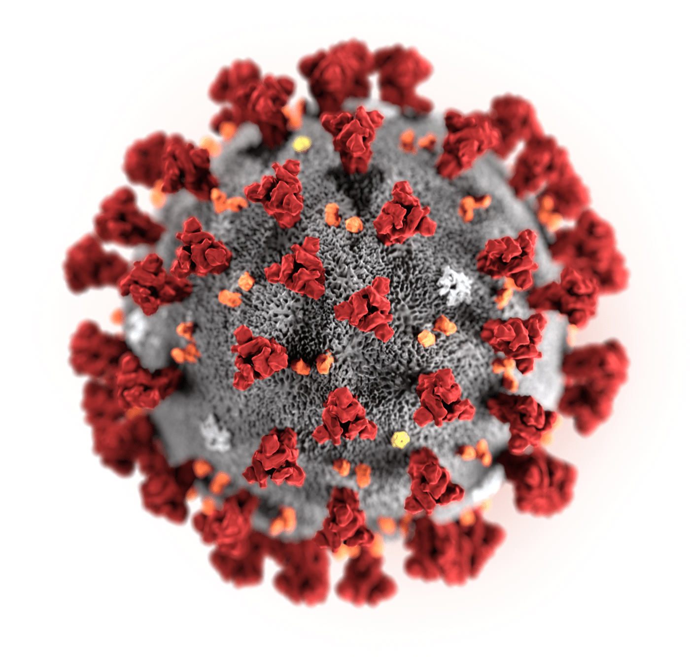 322 people have died from coronavirus in Georgia this week