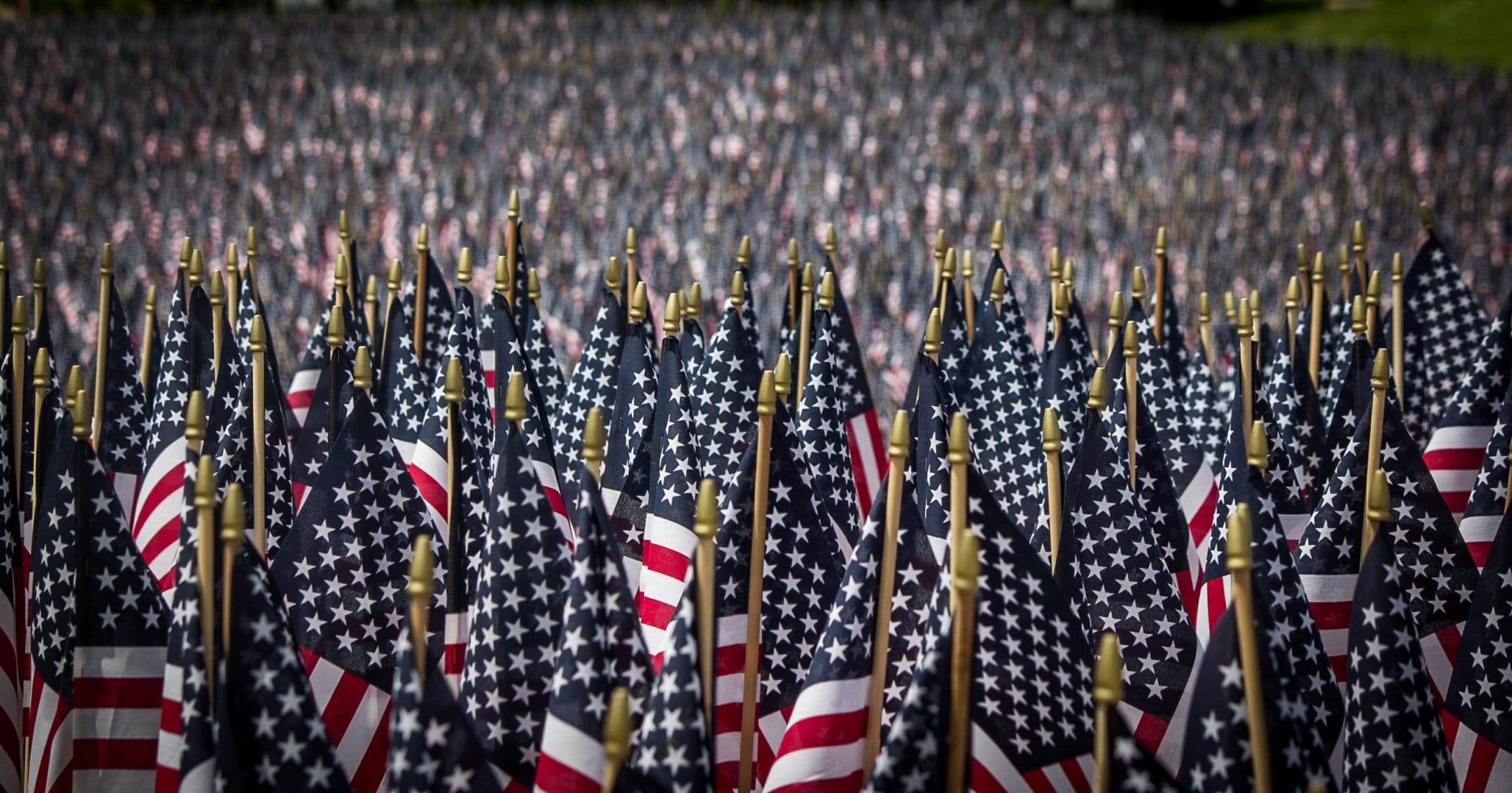 american flags, memorial day, memorial