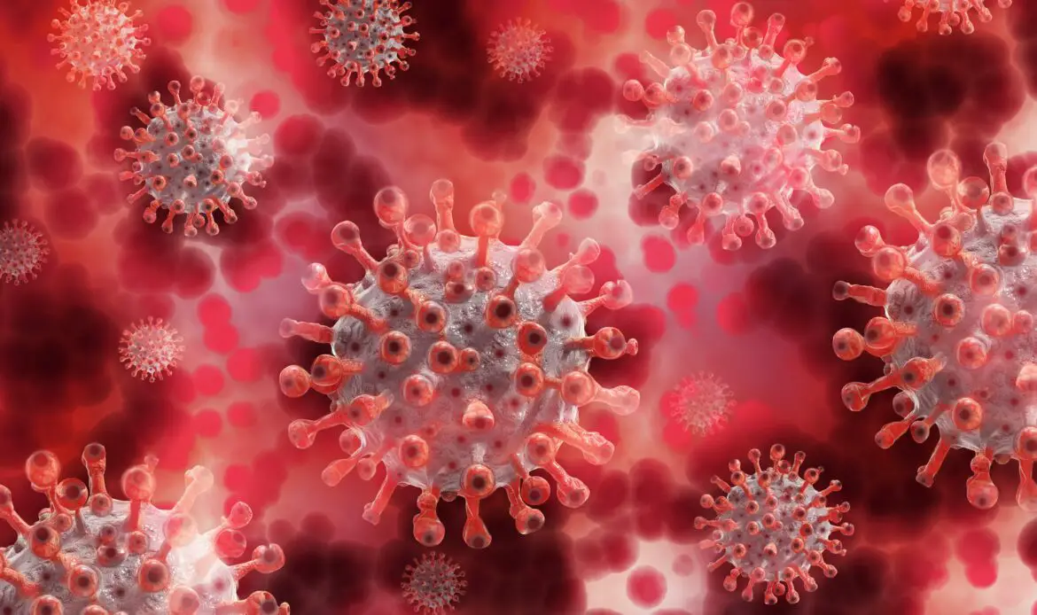 corona, coronavirus, virus