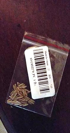 The Georgia Department of Agriculture is warning residents and farmers not to plant unsolicited seeds they receive in the mail from China.