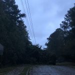 Hurricane Zeta Updates: North Georgia slammed with heavy winds