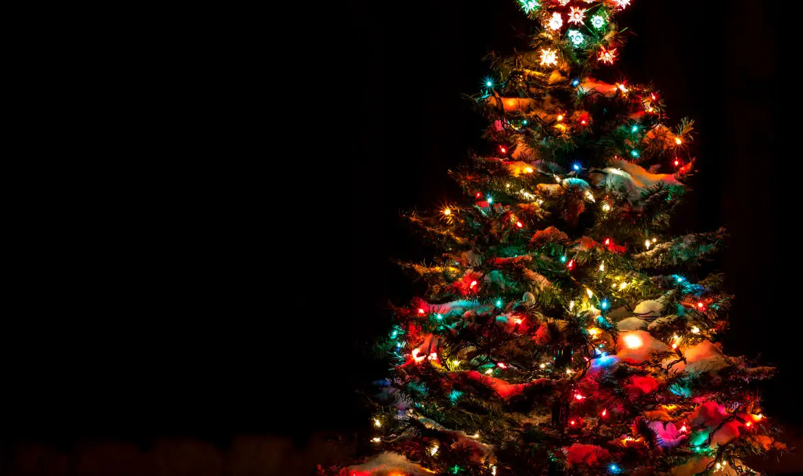 Snow Covered Christmas Tree with Multi Colored Lights