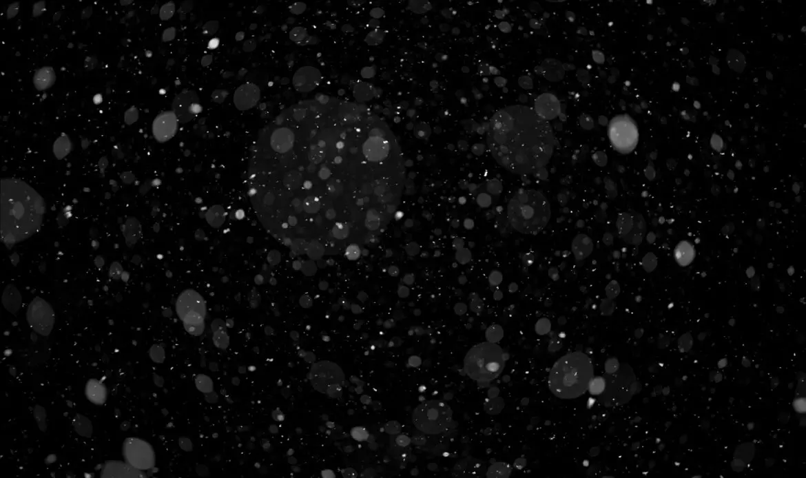 Falling Snow Isolated on Black