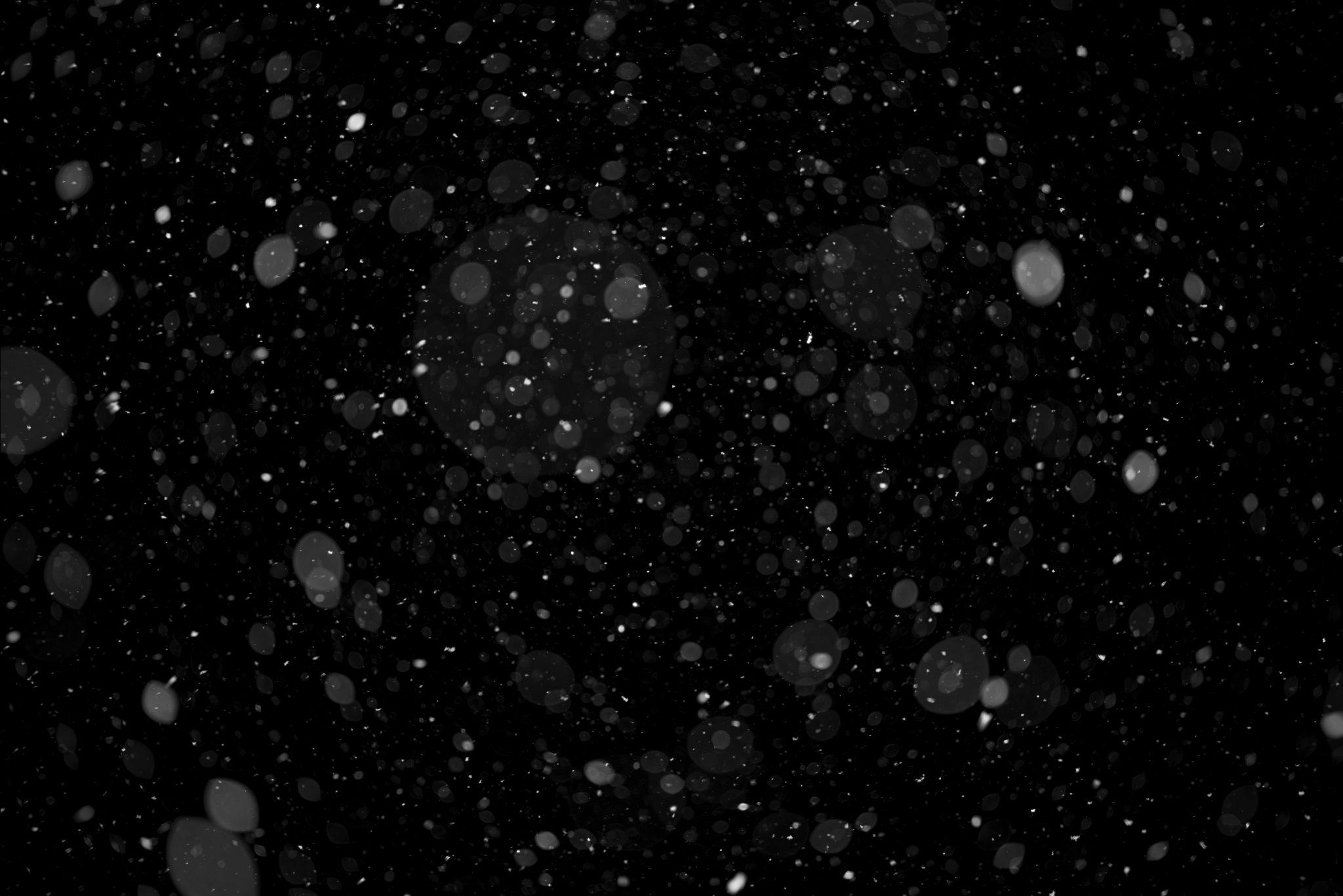 Falling Snow Isolated on Black