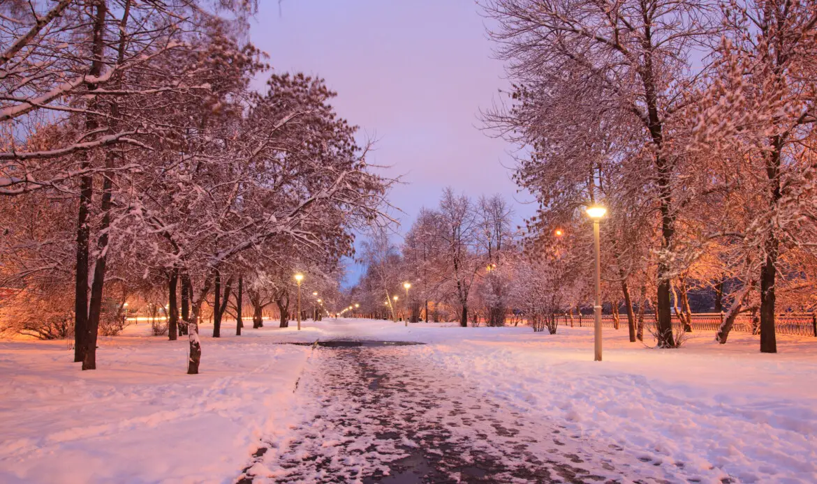 Snow-covered alley