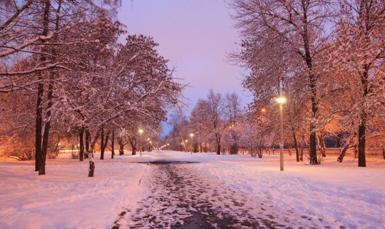Snow-covered alley