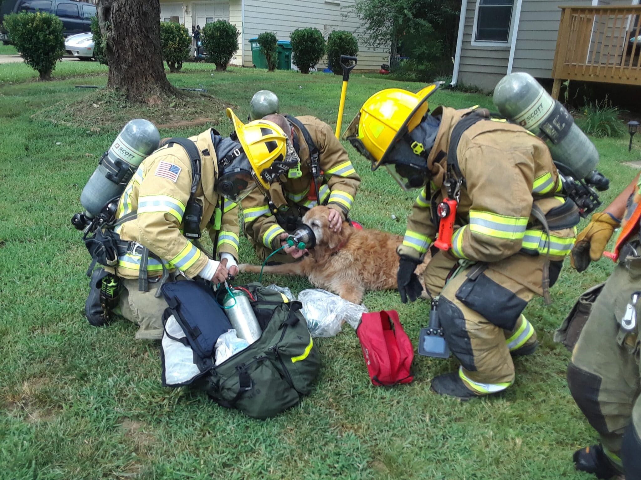 Georgia firefighters save family dog from fire