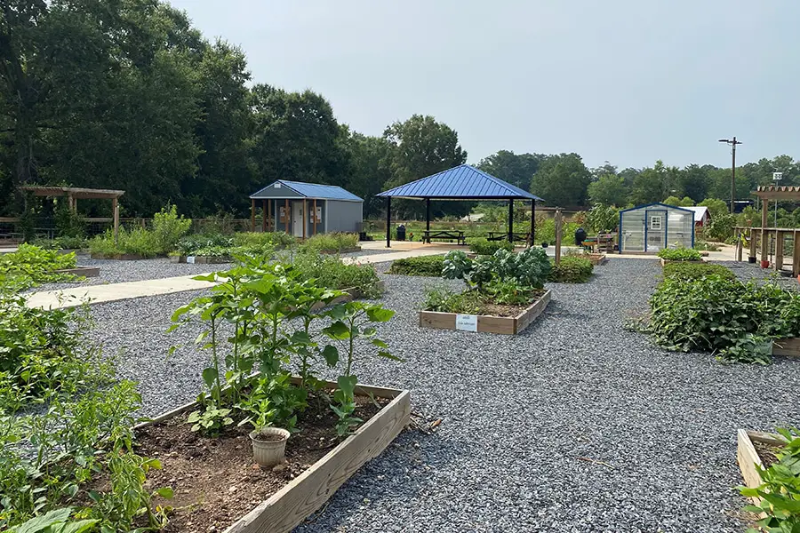 This Georgia community went from a food desert to an oasis