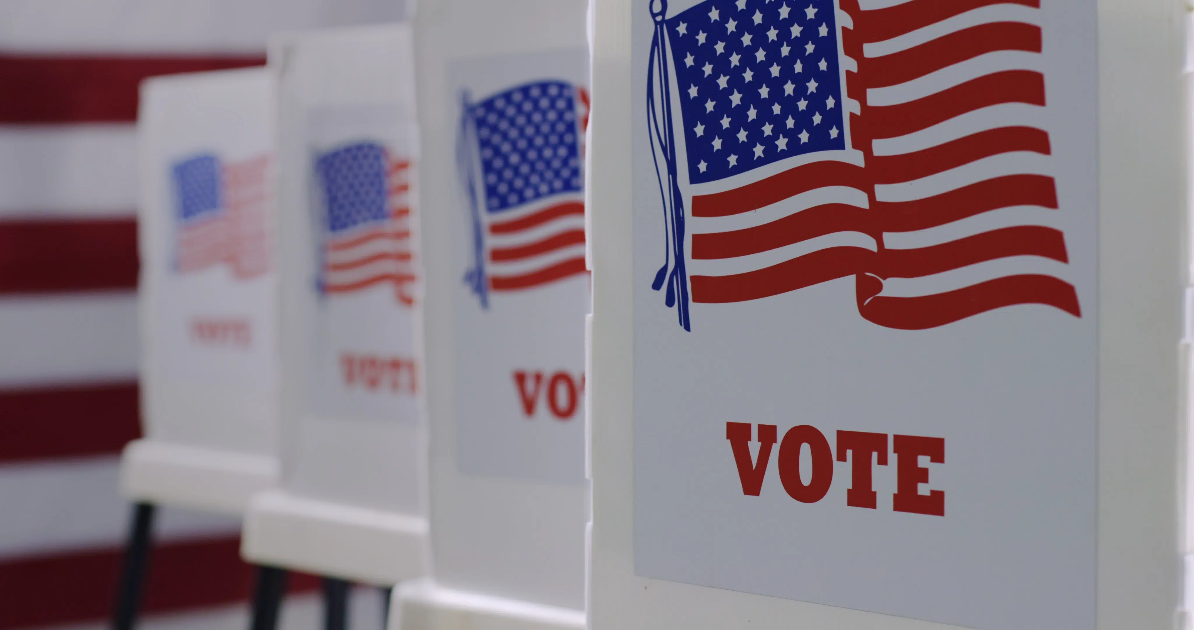 Who Is On The Ballot On Election Day In DeKalb County?