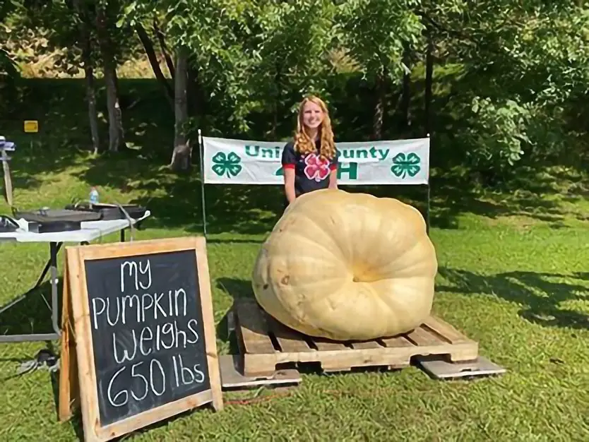 Georgia 11th grader grows 650-pound pumpkin