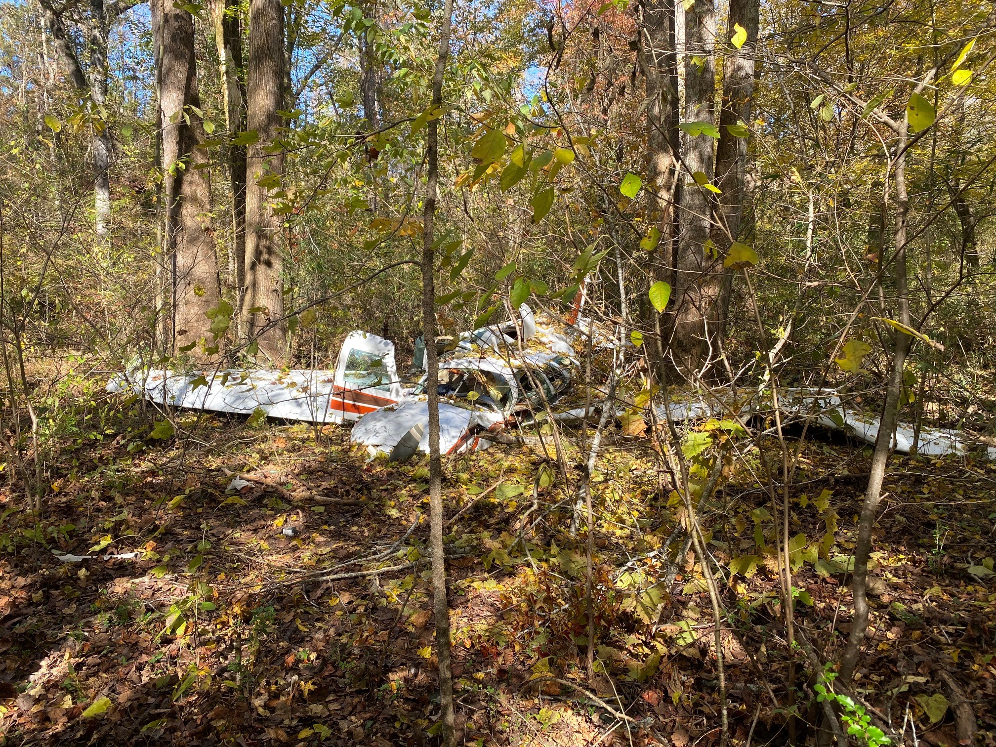 Pilot dies in plane crash near Georgia subdivision