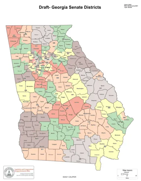 Here's the proposed Georgia state senate district map