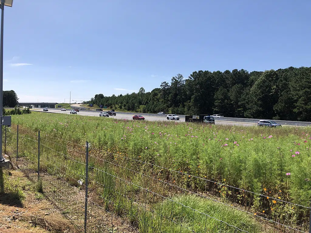 Drivers face significant traffic disruptions on I-575 northbound due to paving work in Cherokee County this evening.