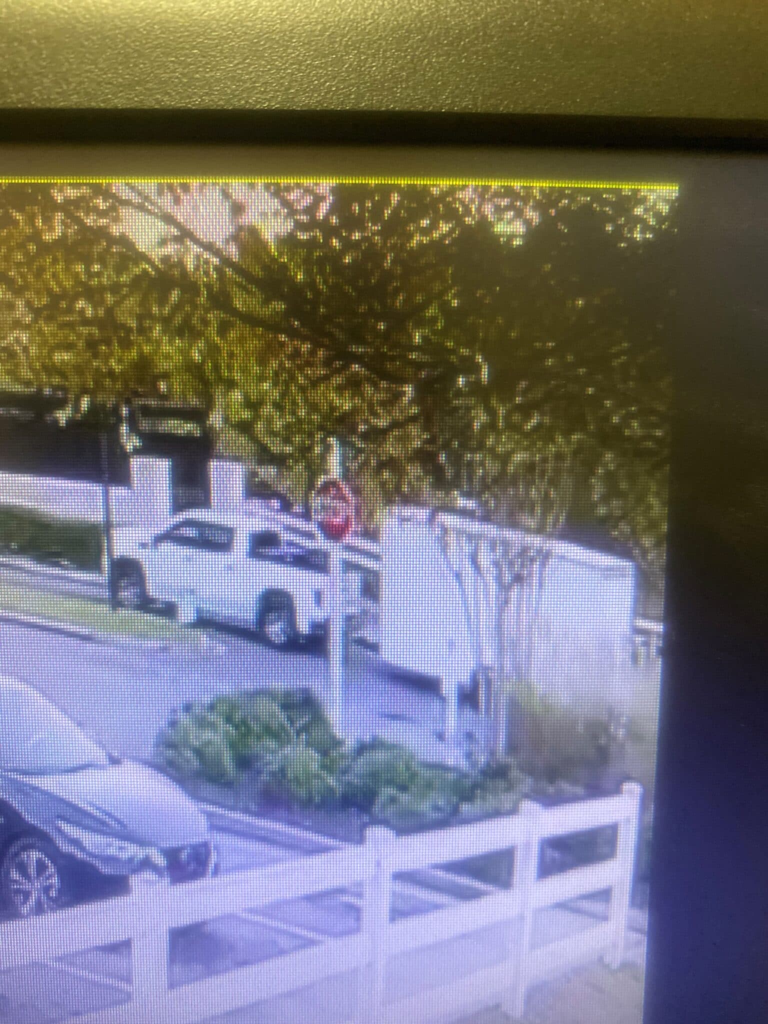 Thief caught on camera stealing trailer