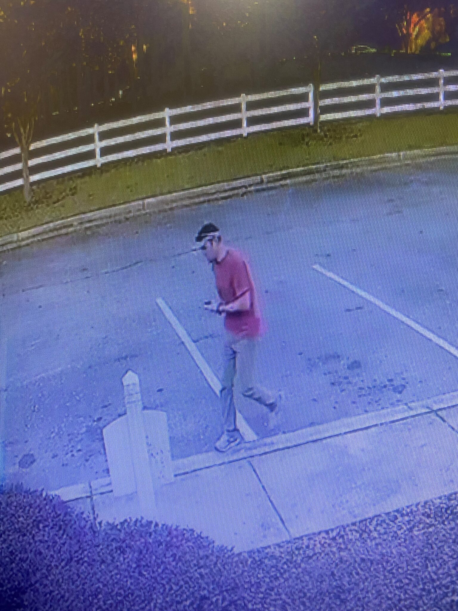Thief caught on camera stealing trailer