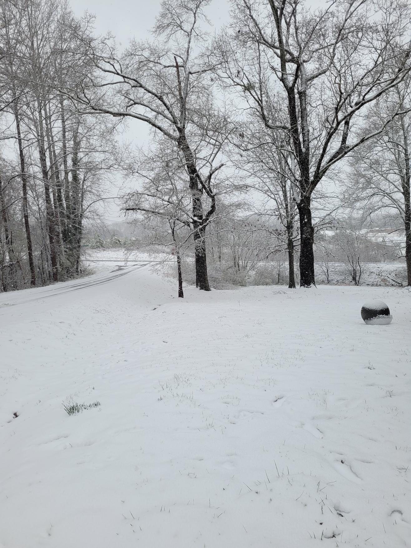 Photos: Here are some snow photos from today. More will be posted as they come in.