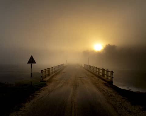 Photo of roadway during dawn
