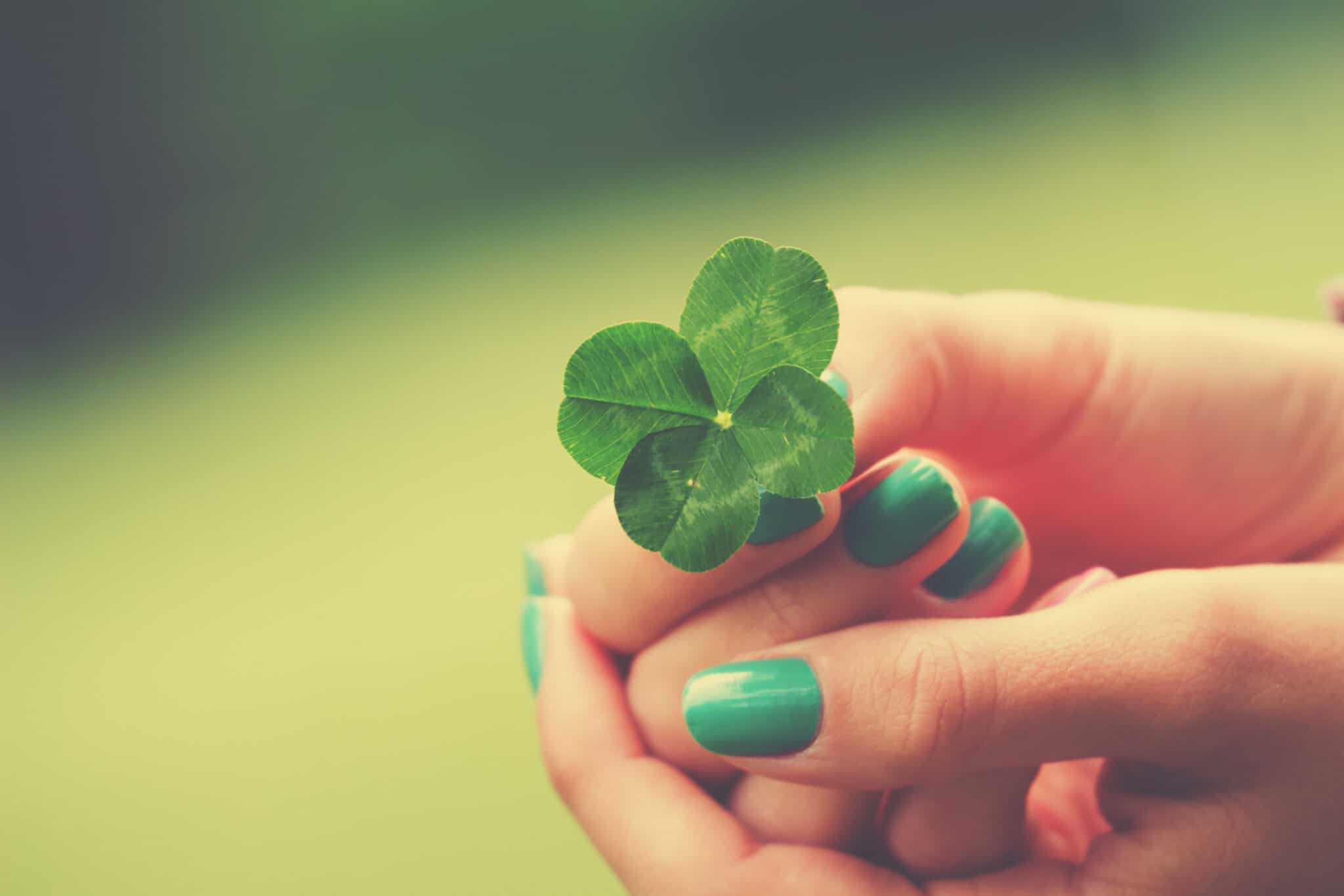St. Patrick's Day: The secrets of four-leaf clovers