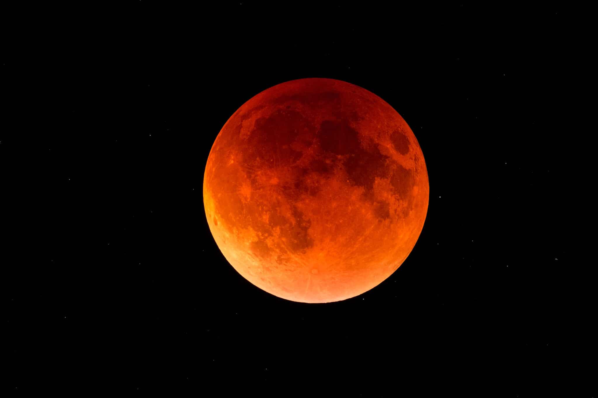 Did you see the Lunar Eclipse last night?