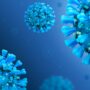 Cases of coronavirus and monkeypox are down in Georgia