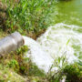5 million pounds of toxic chemicals were dumped into Georgia's water in 2020