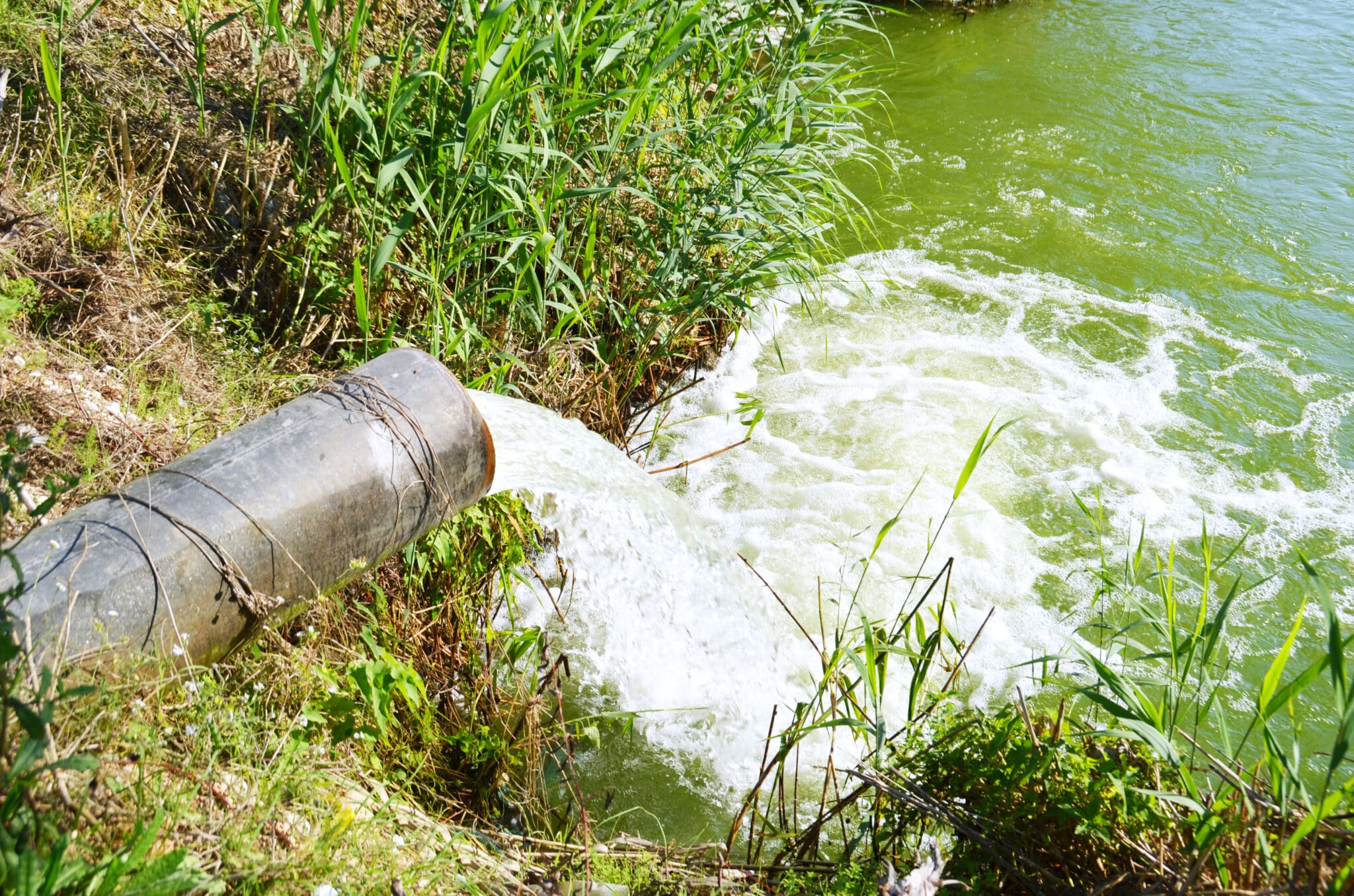 5 million pounds of toxic chemicals were dumped into Georgia's water in 2020