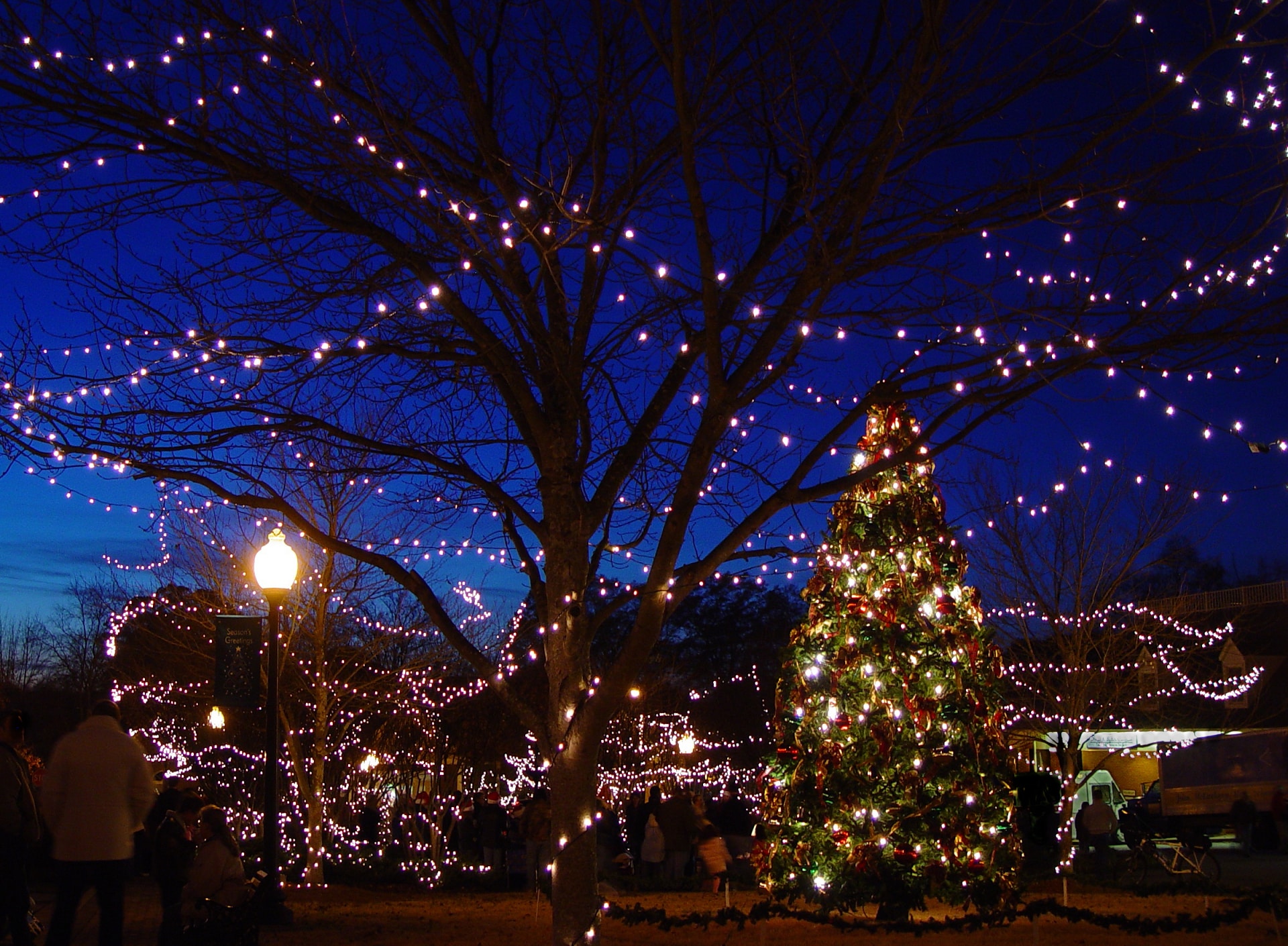 Shadrack's Christmas Wonderland Lights up Cobb County With Dazzling Display