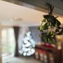 Christmas 2022: Here's what you didn't know about mistletoe