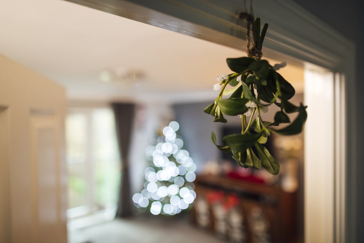 Christmas 2022: Here's what you didn't know about mistletoe