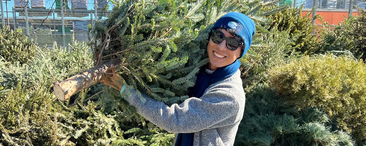 How To Get Rid of Your Christmas Tree in Cherokee County