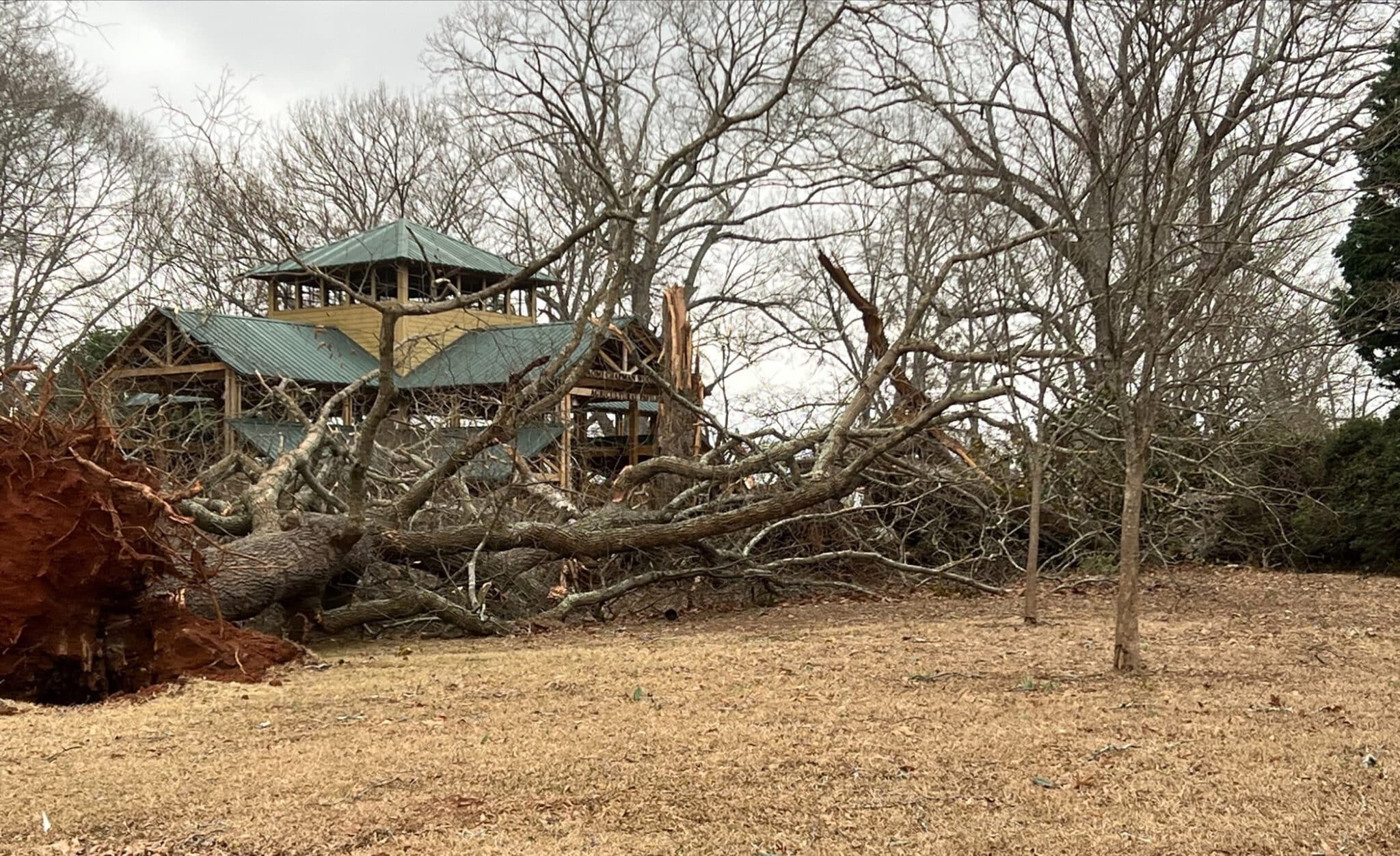 Most of the photos in this week's gallery come from the storm damage.