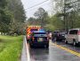 Fallen tree blocks both lanes of Knox Bridge Highway in Cherokee County