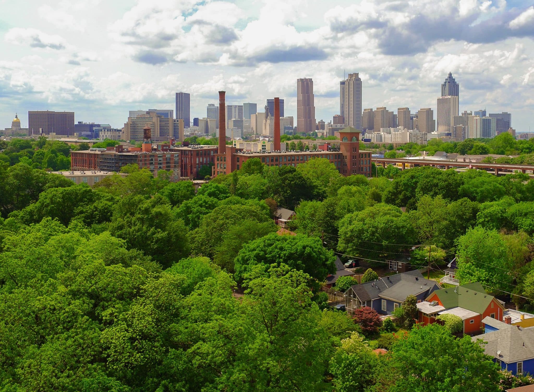 Atlanta has big changes in store when it comes to trees