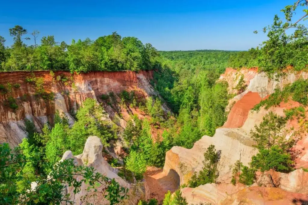 Providence Canyon State Park Expands: Here's what you can expect from Georgia's 'Little Grand Canyon'
