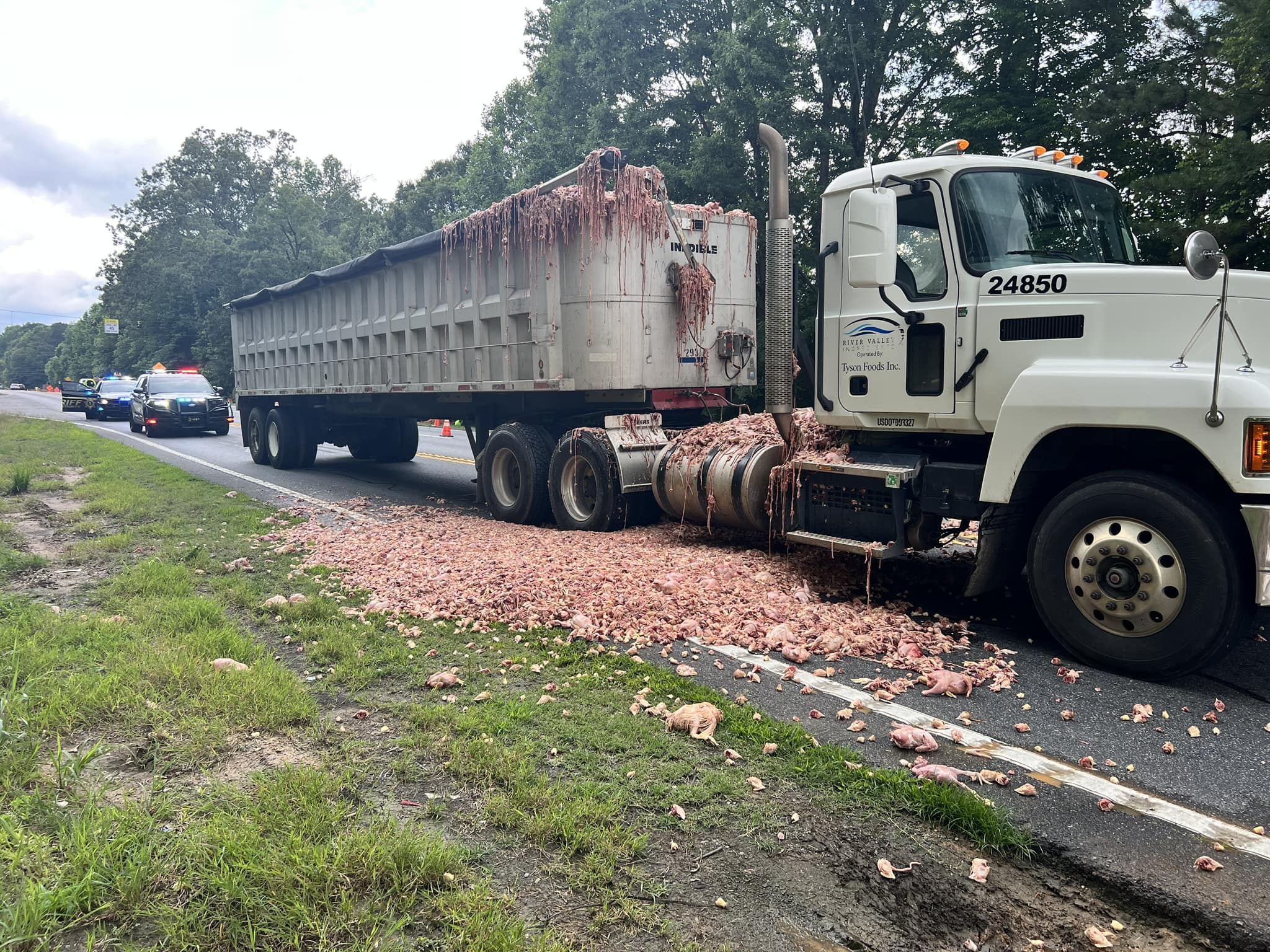 Poultry in Motion: Chaos ensues as truckload of chicken parts spills on Georgia highway
