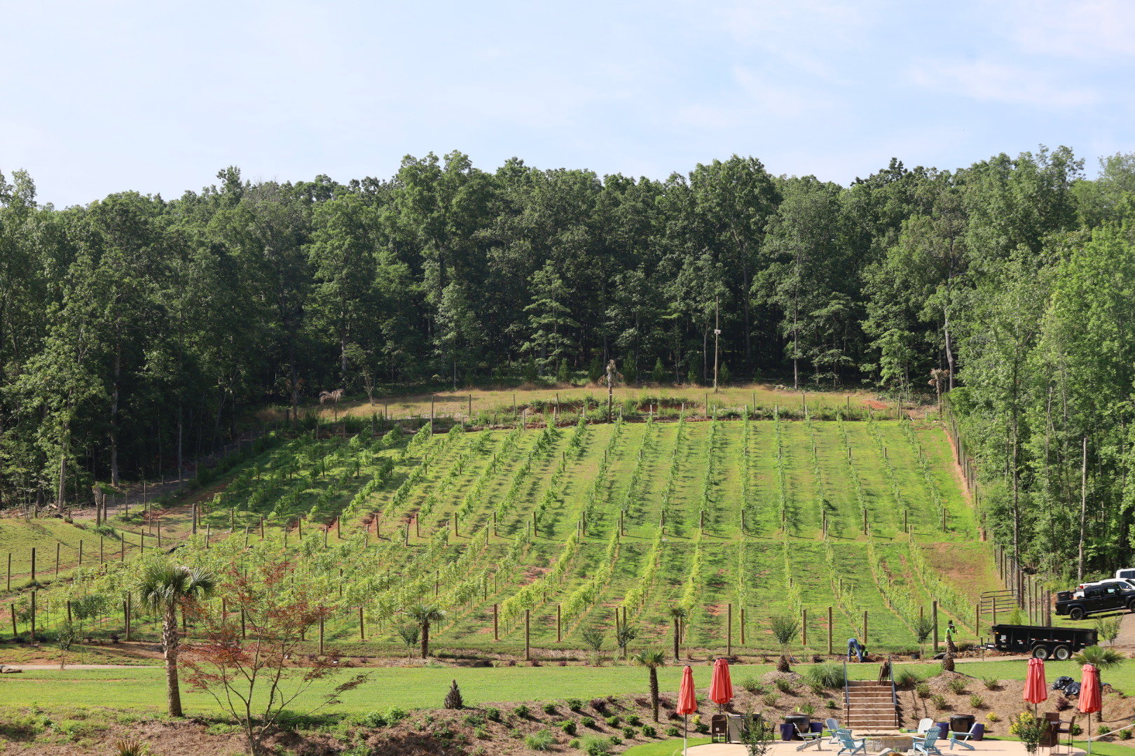DeKalb County hosts cleanup day at the county's first wine vineyard
