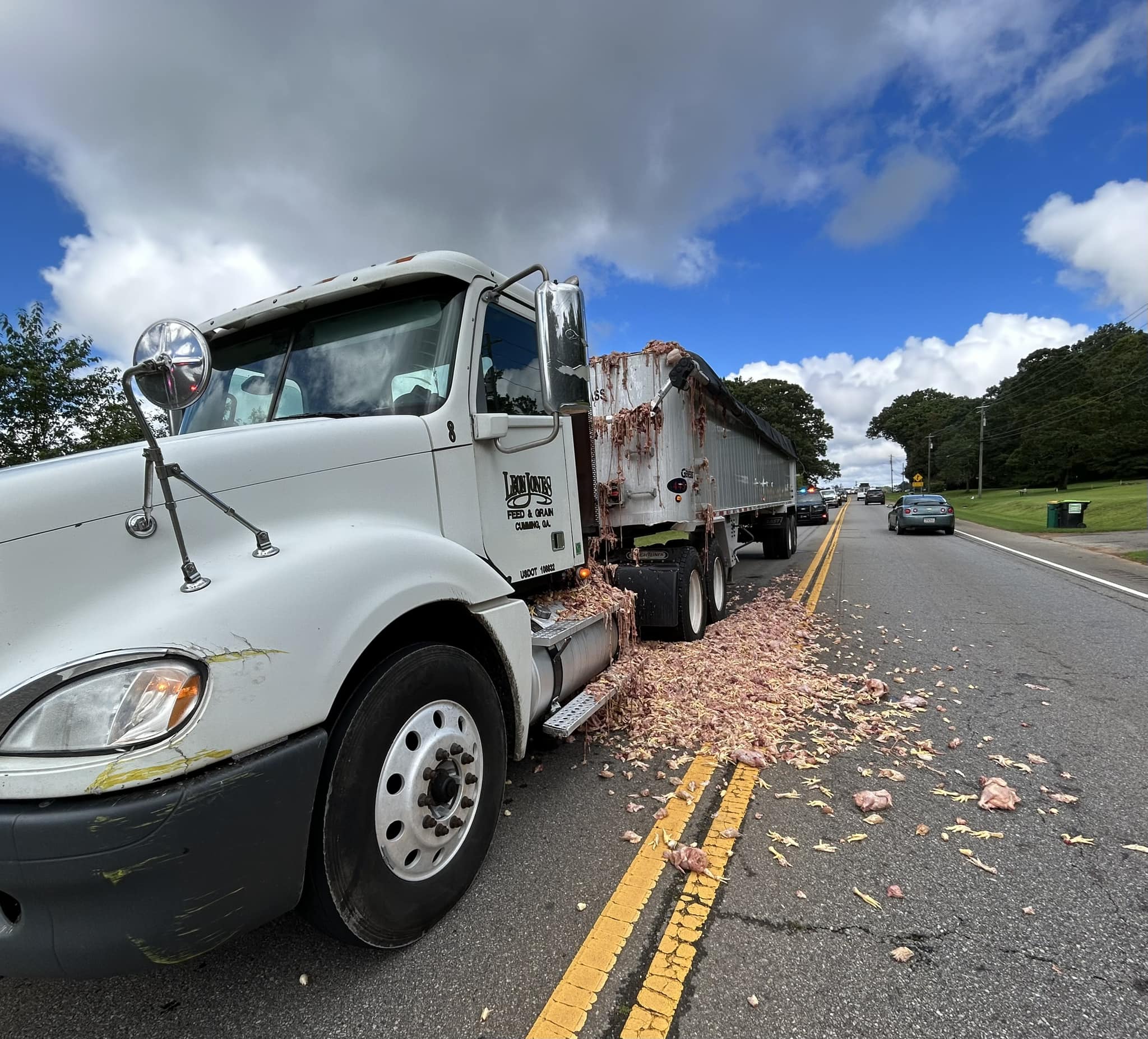 Chicken parts spill all over road in Cherokee County again