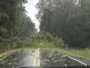 Cherokee County Reels Under Tornado-like Downbursts