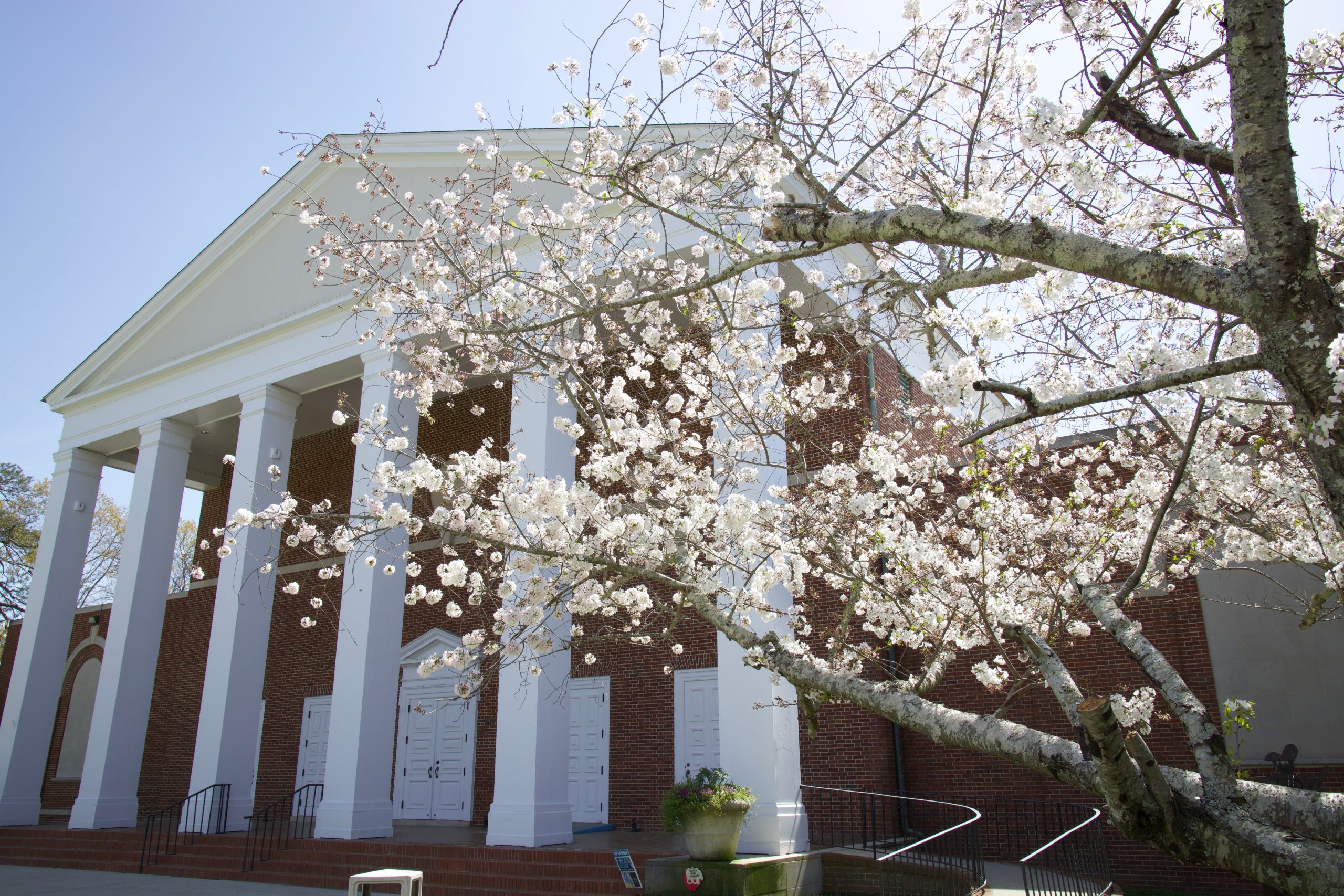 5 Things You Didn't Know About Bibb County