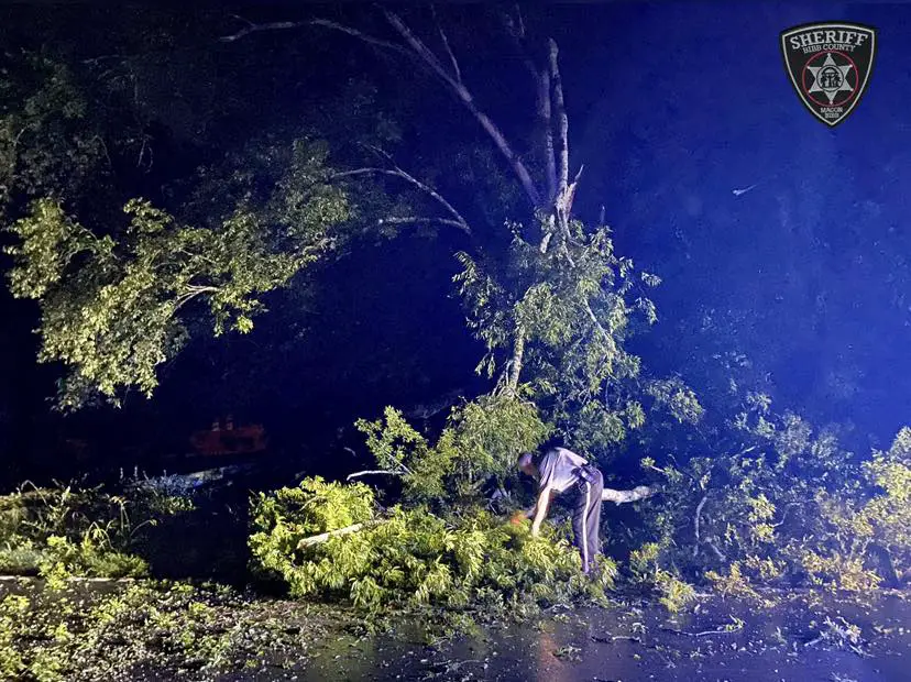 Photos: Bibb County Deputy Helps Clear Tree from Road After Storms