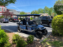 Milton Leaders Want to Regulate Golf Carts and 'flag Lots' in the City