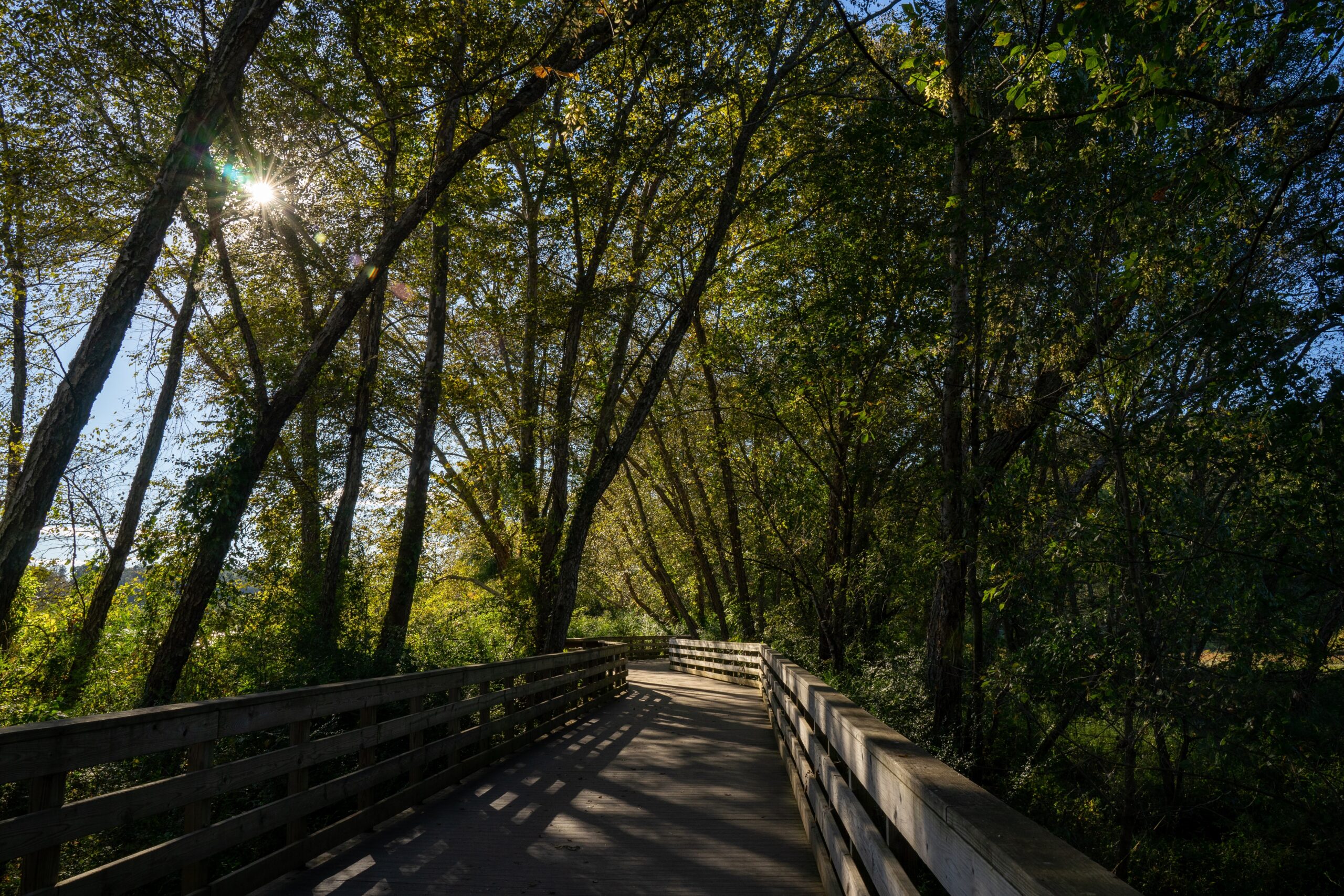 Sexual Assault Reported on Roswell Riverwalk Trail