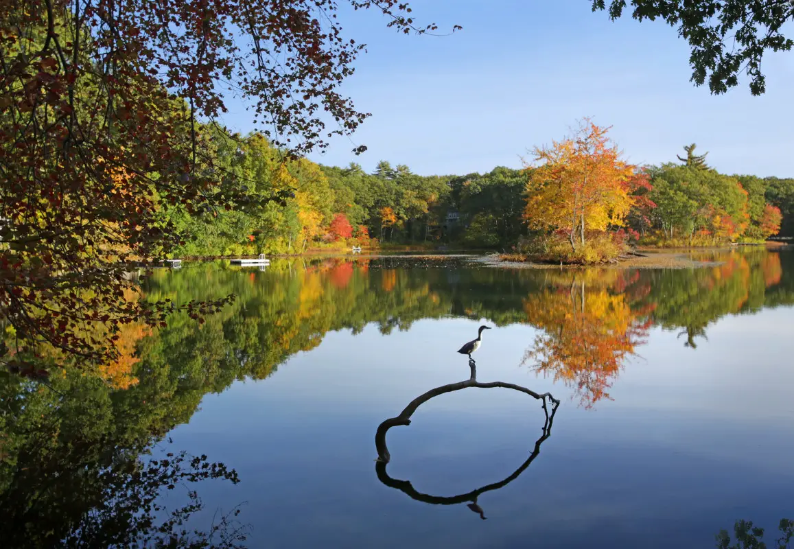 Best Fall Foliage Destinations Away From the Crowds