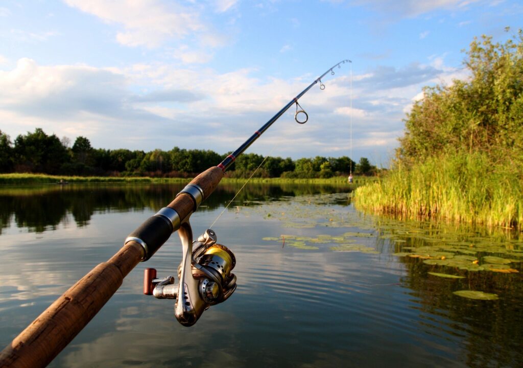 ATLANTA – Legislation on fishing access Georgia lawmakers may take up during this winter’s legislative session will pit public interest against private property rights. That was the takeaway message from the initial meeting this week of a House study committee on fishing rights created at the end of this year’s session. The legislature passed a