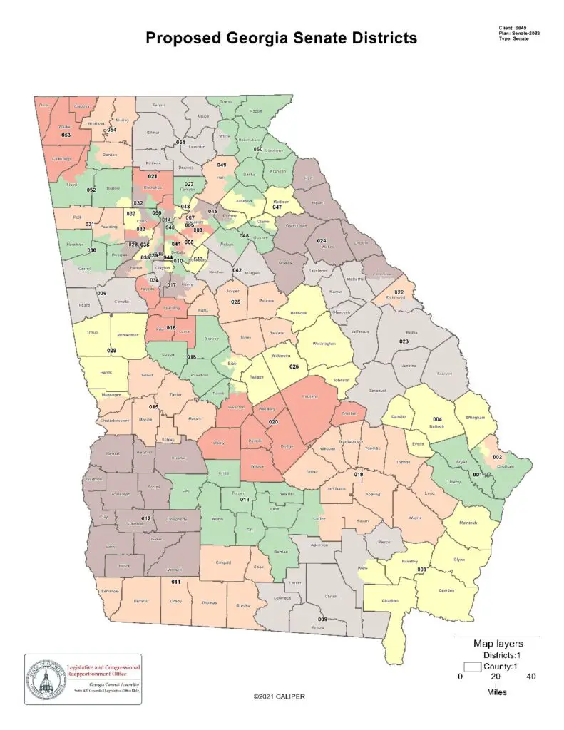 Here Is a First Look at Georgia's New Proposed Senate Districts