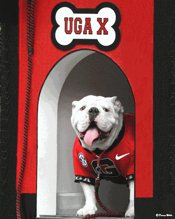 Former Bulldogs Mascot Uga X Dies in Savannah