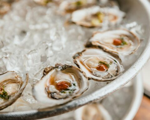 Close-up of Fresh Oysters on Crushed Ice